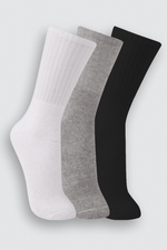T06313-0002-1