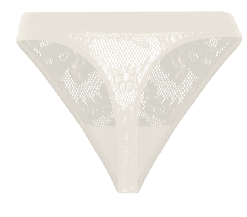 K00519;0890;02